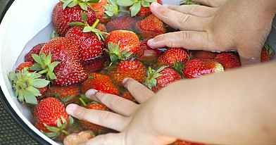 Kodėl braškes reikia pamirkyti sūriame vandenyje