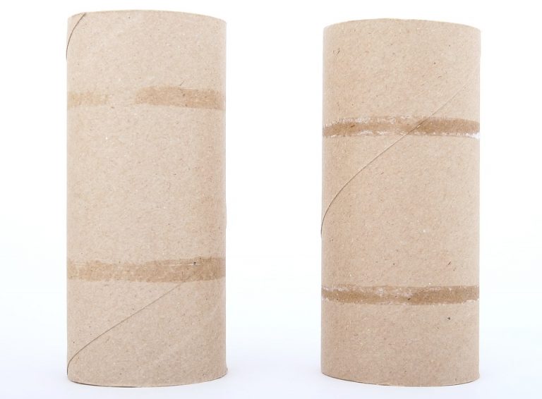 Būdai kaip galite panaudoti tualetinio popieriaus rulonėlius!