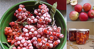 Rudeninė uogienė iš šermukšnių, obuolių, slyvų ir moliūgų