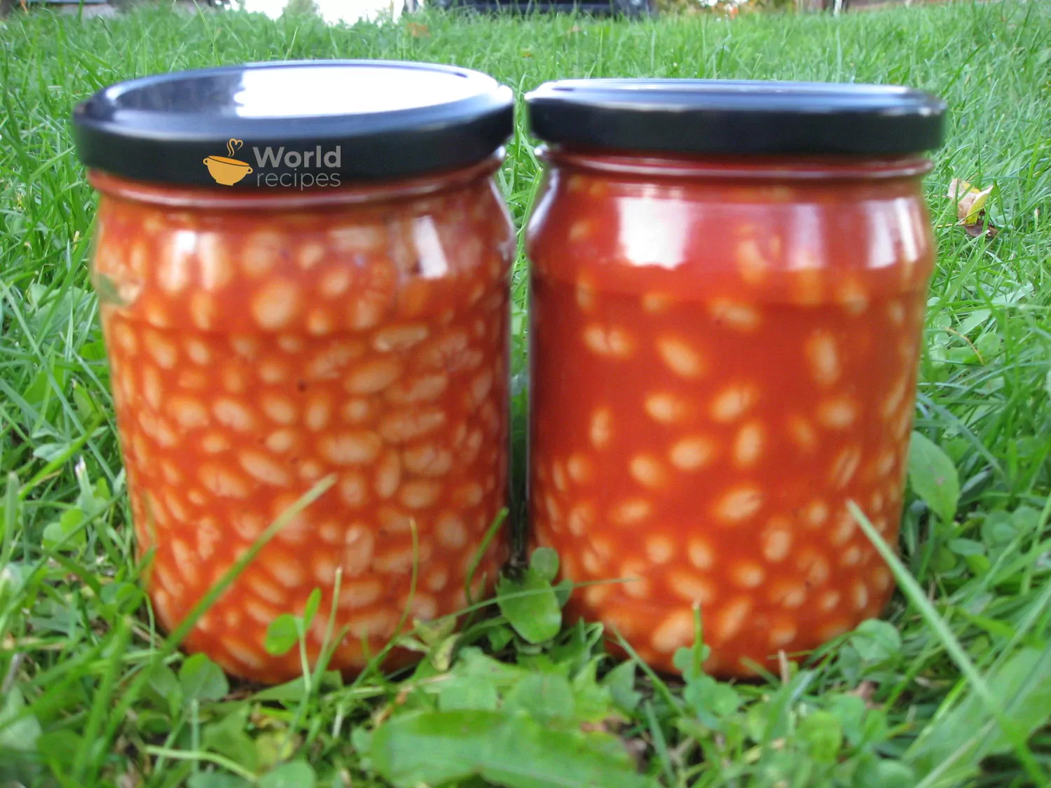 Pupelės konservuotos pomidorų padaže žiemai, be acto