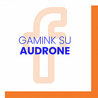 Recepto autorius Gamink su Audrone