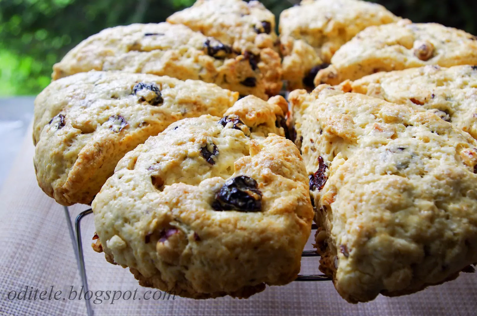 Sausainiai - Scones su džiovintomis vyšniomis ir lazdyno riešutais